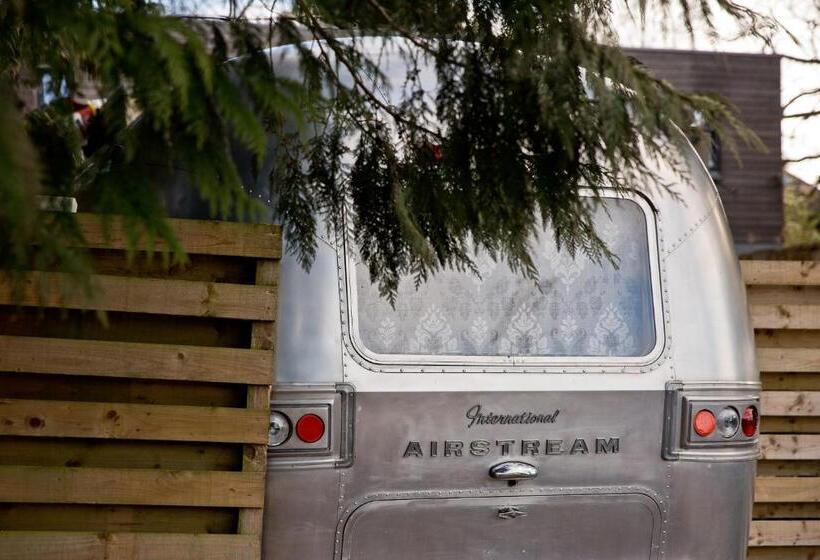 Cameră Standard, The Cedars