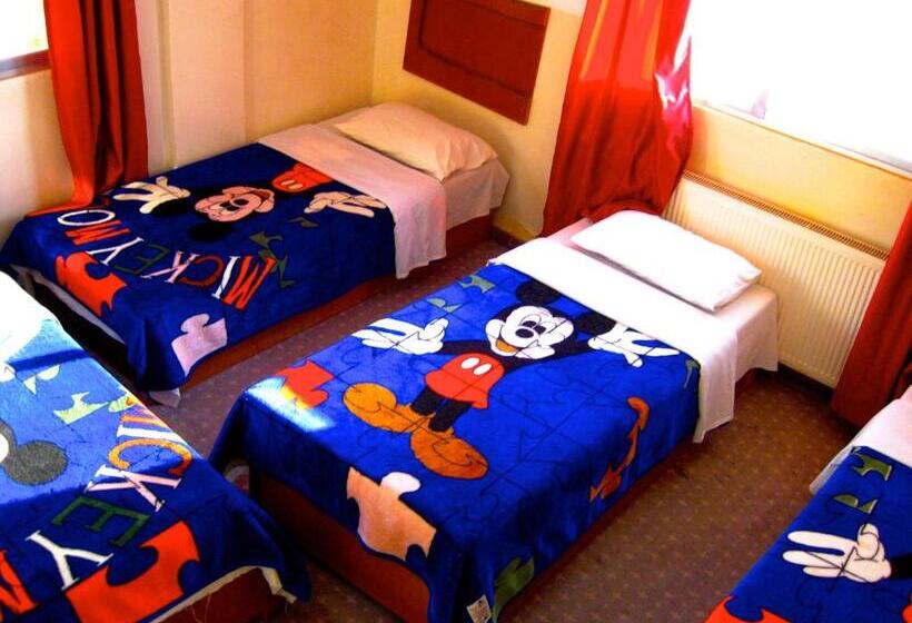 اتاق استاندارد چهار تخته, Valentine Inn