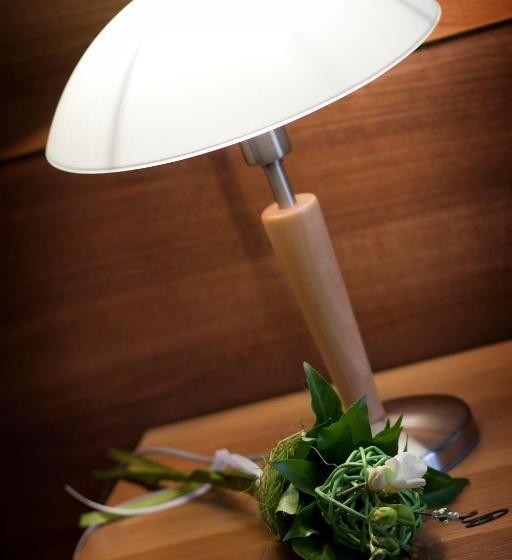 شقة غرفة واحدة, Centrum Panzió