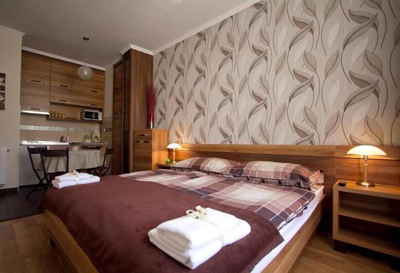 شقة غرفة واحدة, Centrum Panzió