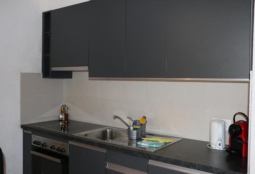 高级工作室, Le Vieux Valais