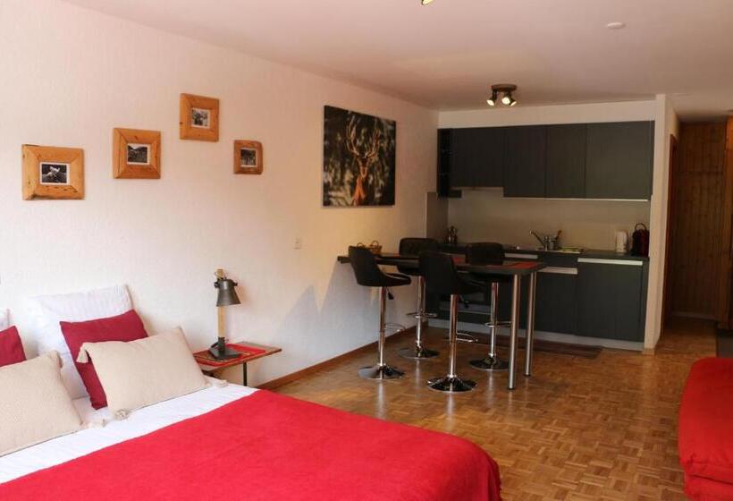 スーペリアスタジオ, Le Vieux Valais