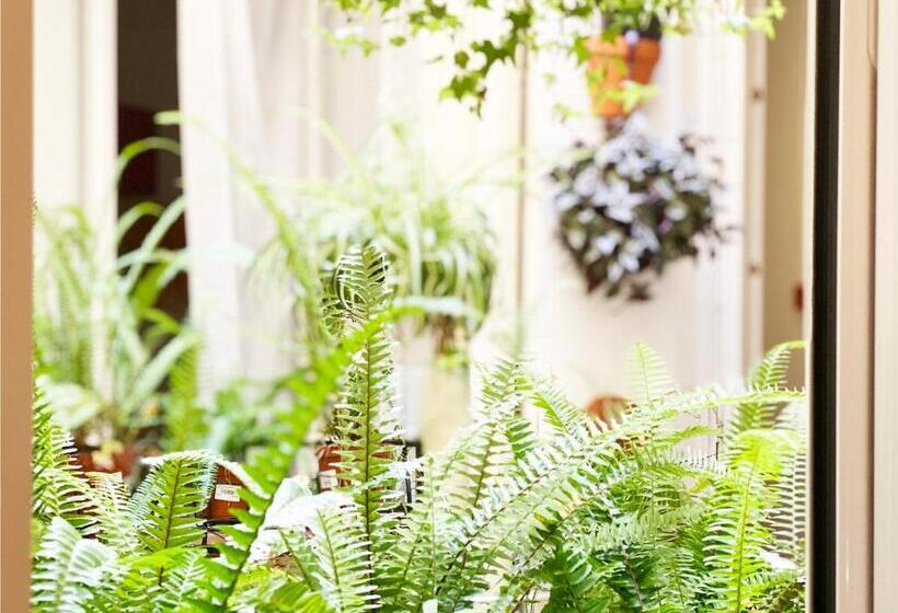 اتاق استاندارد یک نفره, Hostal Portugal