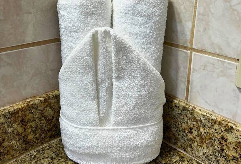 اتاق اکونومی, Pousada Larissa