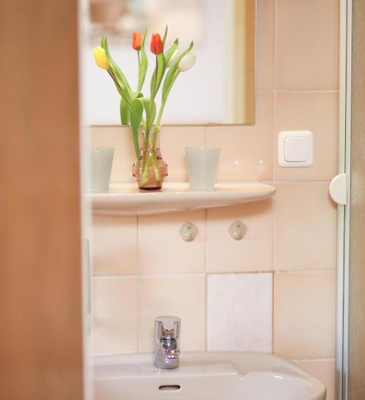 غرفة قياسية, Pension Bergsee