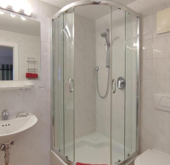 اتاق خانوادگی, Koller, Pension Haus