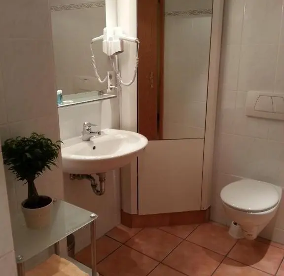 اتاق استاندارد یک نفره, Apartmenthaus Sonnen