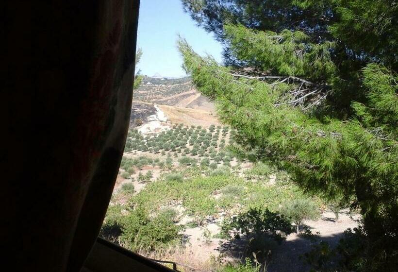 اتاق استاندارد, Ciuci S Manor