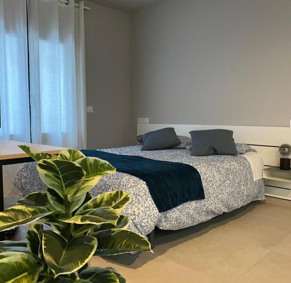 家庭工作室, Pensió I Apartament Torrent