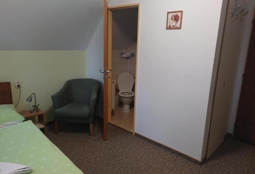 标准单人间, Penzion Raj