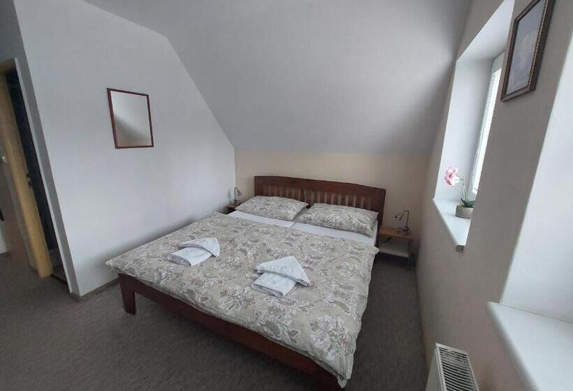 标准间, Penzion Raj