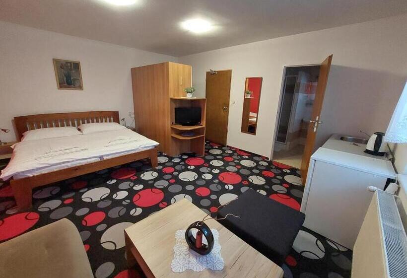 标准工作室, Penzion Raj