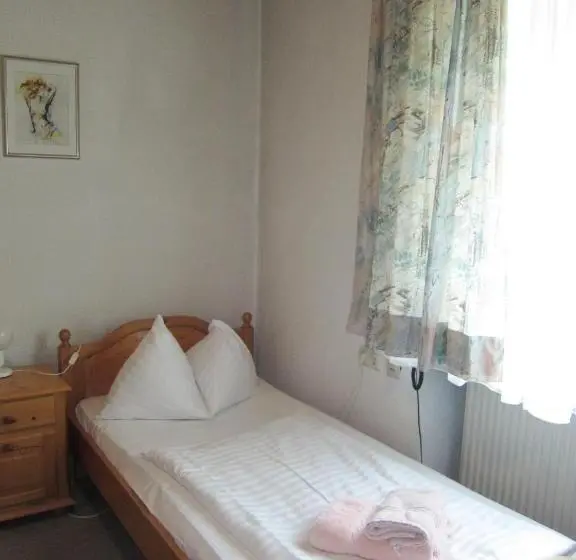 Standard Yhden Hengen Huone, Pension Elisabeth