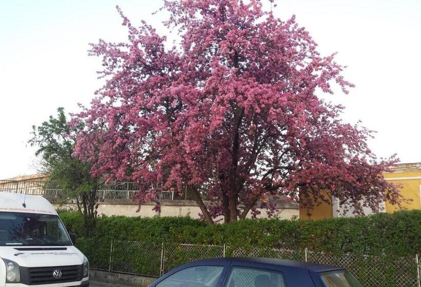 חדר סטנדרט יחיד, Pension Elisabeth