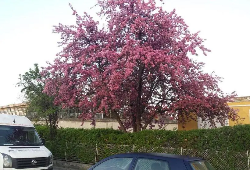 Standard Yhden Hengen Huone, Pension Elisabeth