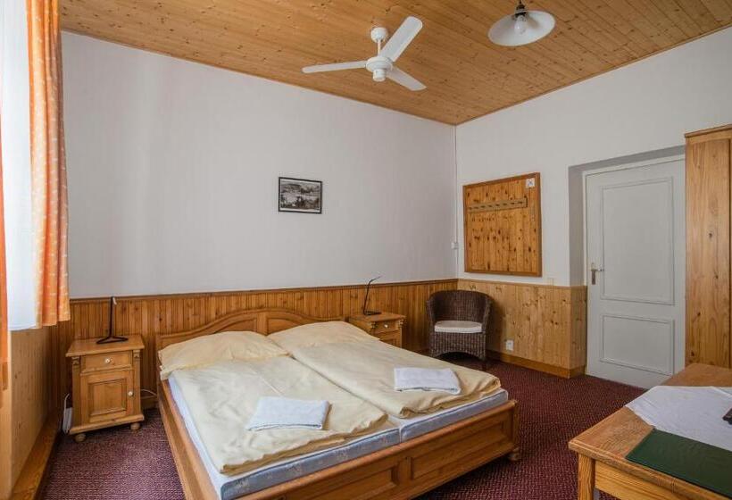 标准单人间, Pension Herman