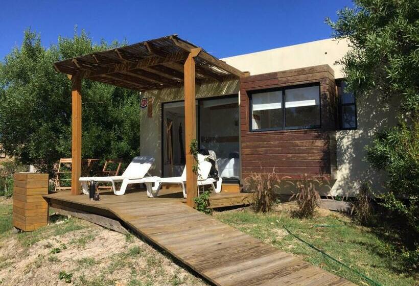 شقة غرفة واحدة مطلة على البحر, Fortin De Santa Rosa