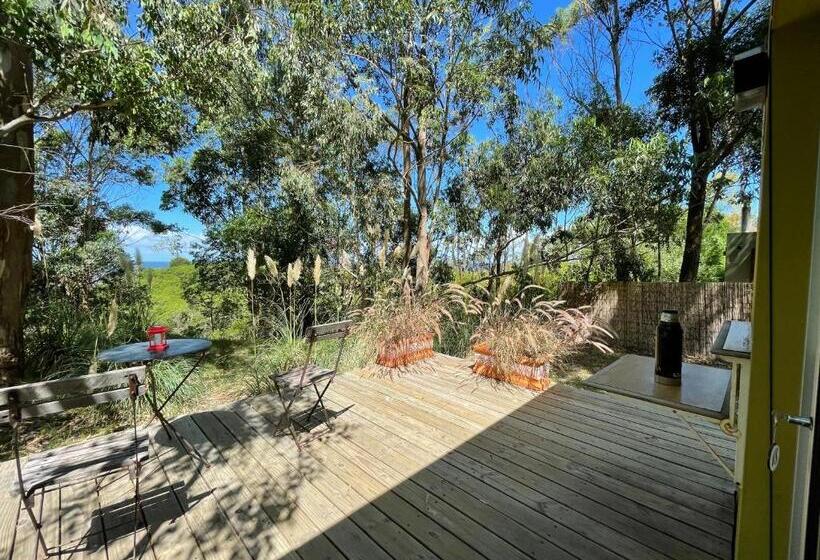 بنجلو قياسى مطلّ علي الحديقة, Fortin De Santa Rosa