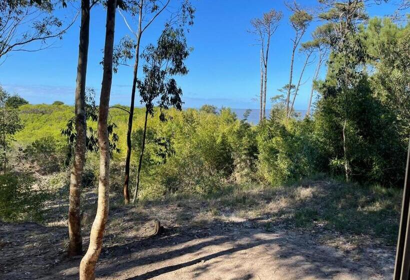 بنجلو ديلوكس, Fortin De Santa Rosa