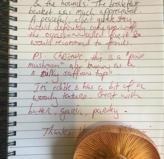 شقة غرفة واحدة ذات إطلالة, Brentwood Accommodation B&b Apartments   Yarra Valley