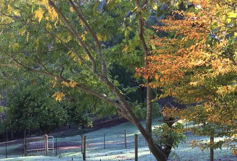 شقة غرفة واحدة ذات إطلالة, Brentwood Accommodation B&b Apartments   Yarra Valley