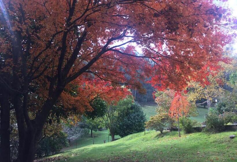침실 1개 전망 아파트, Brentwood Accommodation B&b Apartments   Yarra Valley