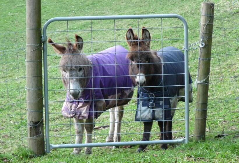 شقة غرفة واحدة ذات إطلالة, Brentwood Accommodation B&b Apartments   Yarra Valley