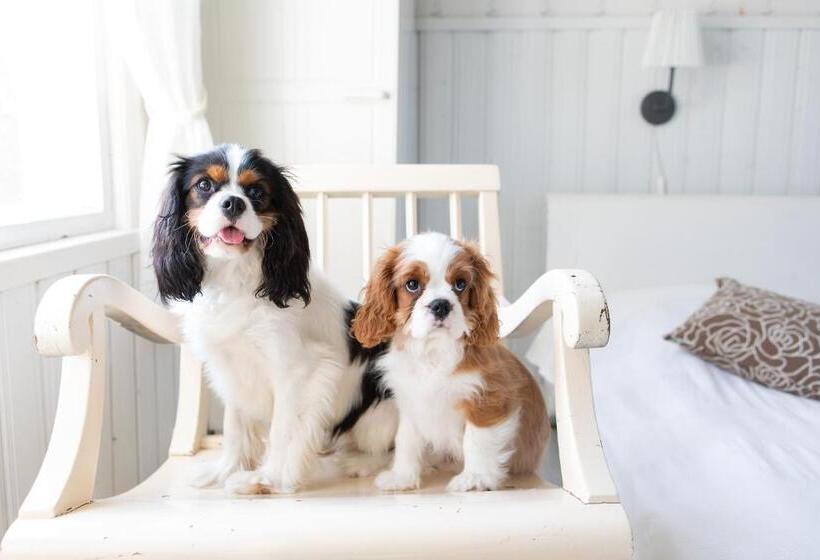 בית, חדר שינה 1, Valkeisen Loma