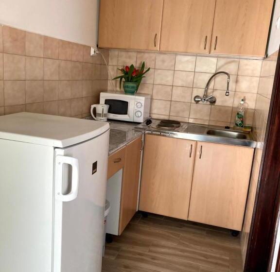 آپارتمان 1 خوابه, Erika Vendégház