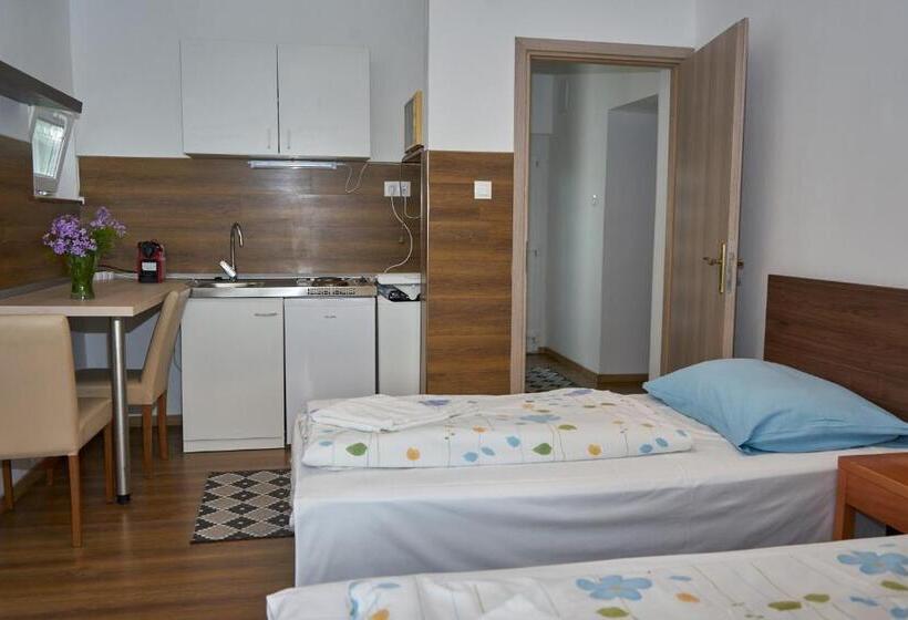 استودیوی استاندارد, Erika Vendégház