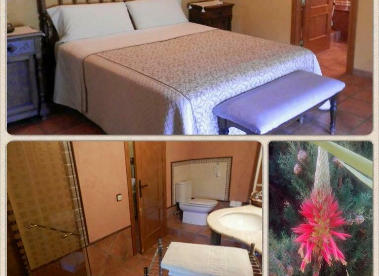 غرفة قياسية, Mas La Trampa