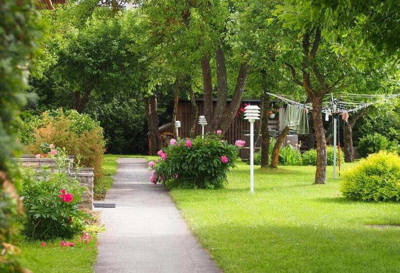 اتاق استاندارد با سرویس بهداشتی مشترک, Männi Guesthouse