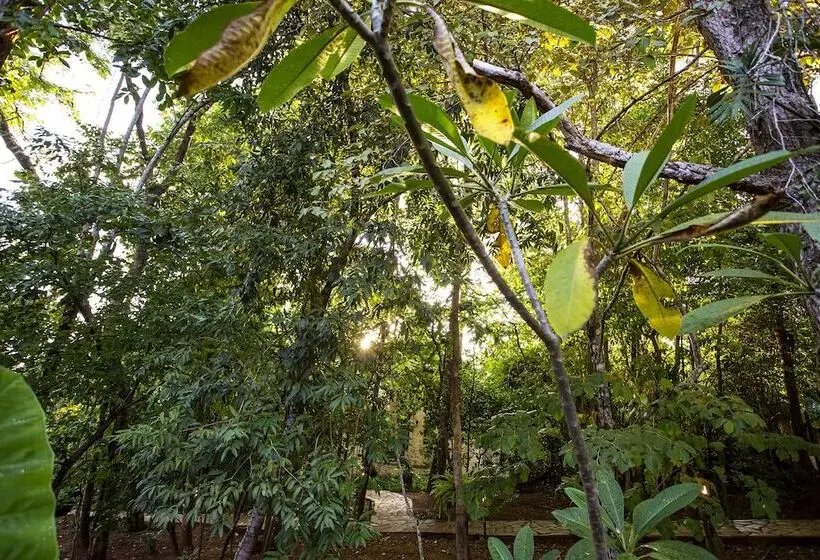 スイート, Pousada Cavaleiro Dos Pireneus