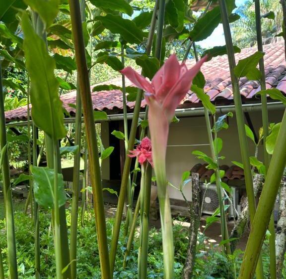 غرفة ديلوكس ثلاثية, Pousada Horizonte Azul