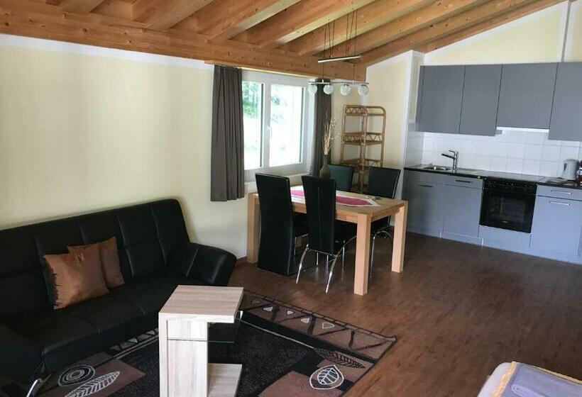 スタンダードスタジオ, Aladin Apartments St Moritz