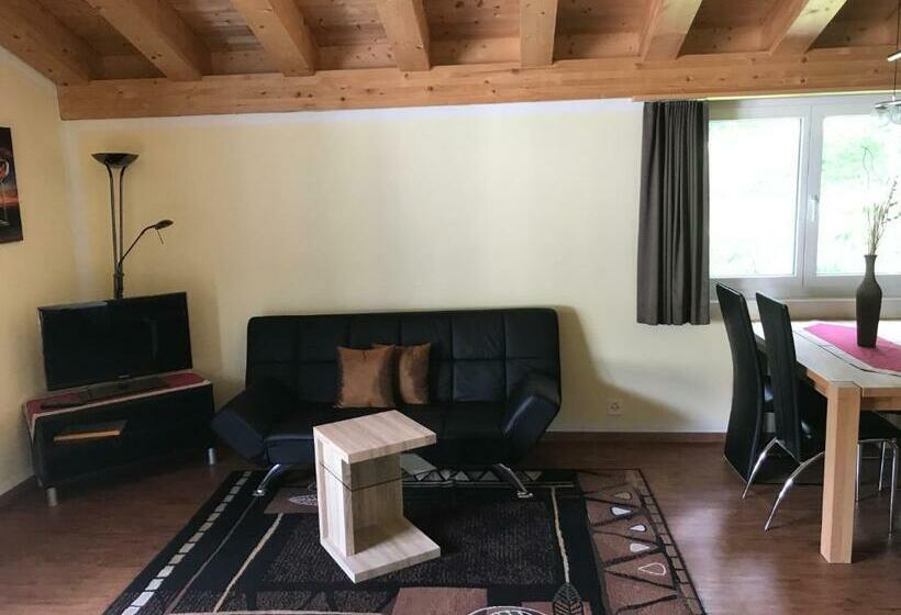 Студия Стандарт, Aladin Apartments St Moritz
