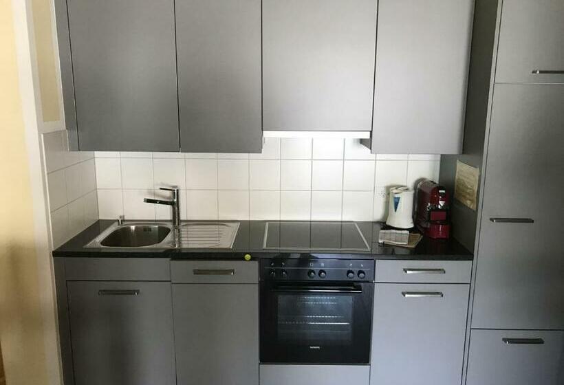 スタンダードスタジオ, Aladin Apartments St Moritz