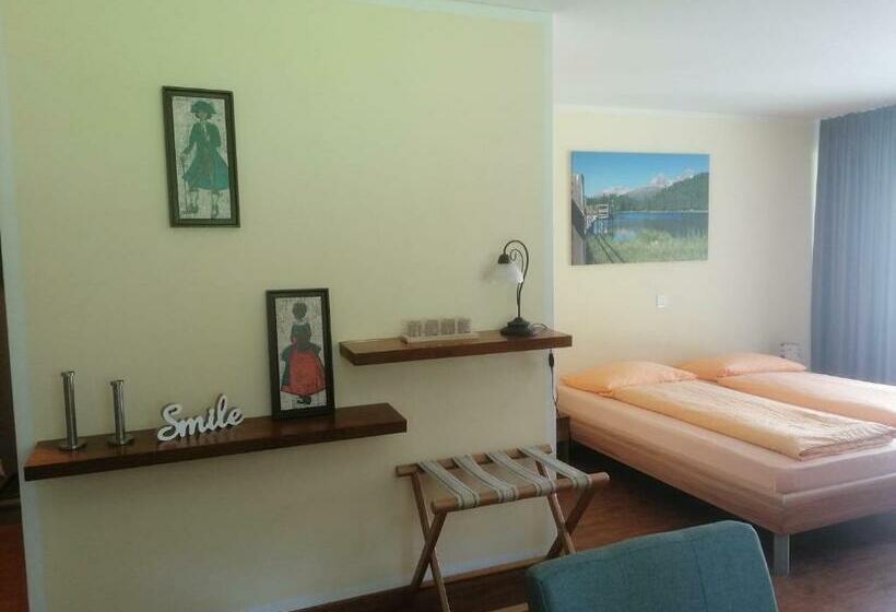 スタンダードスタジオ, Aladin Apartments St Moritz
