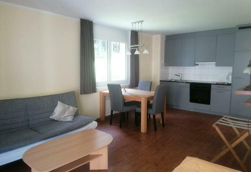 スタンダードスタジオ, Aladin Apartments St Moritz