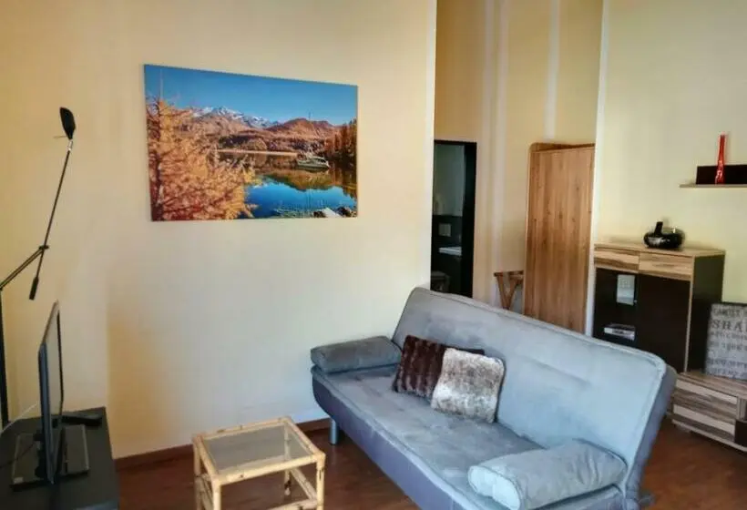 １ベッドルームアパートメント, Aladin Apartments St Moritz