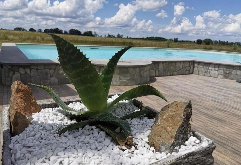 חדר סופריור נוף לבריכה, Casale Dei Gelsi