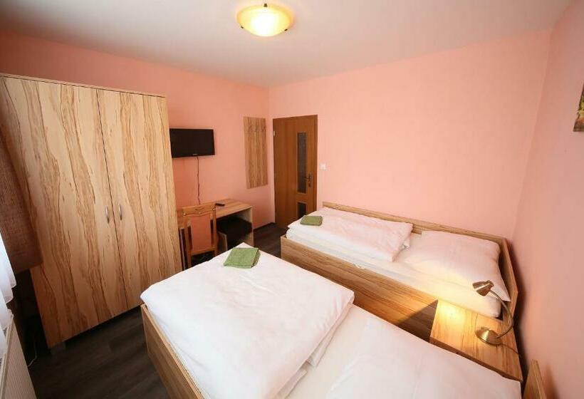 חדר סטנדרט חדר אמבטיה משותף, Penzión Na Rožku