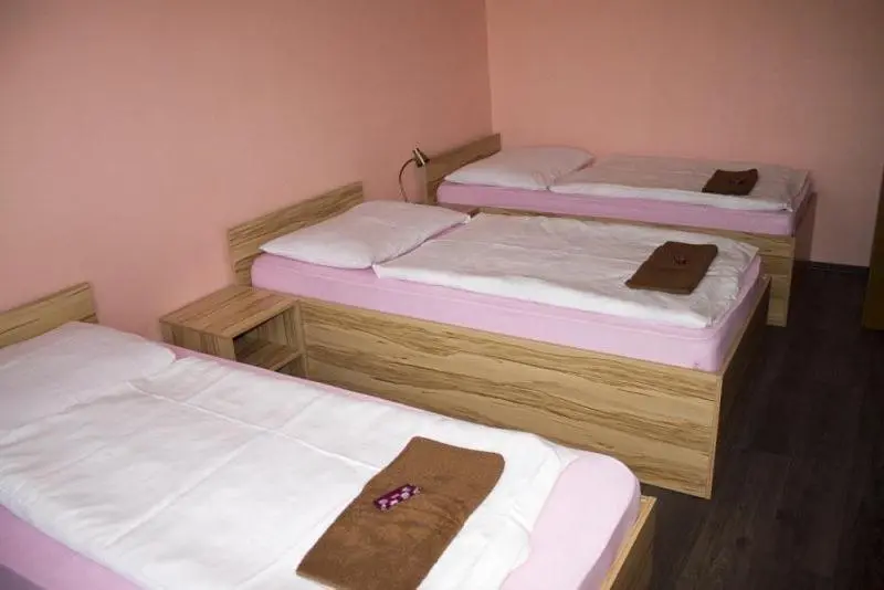 Standard Kolmen Hengen Huone Jaettu kylpyhuone, Penzión Na Rožku