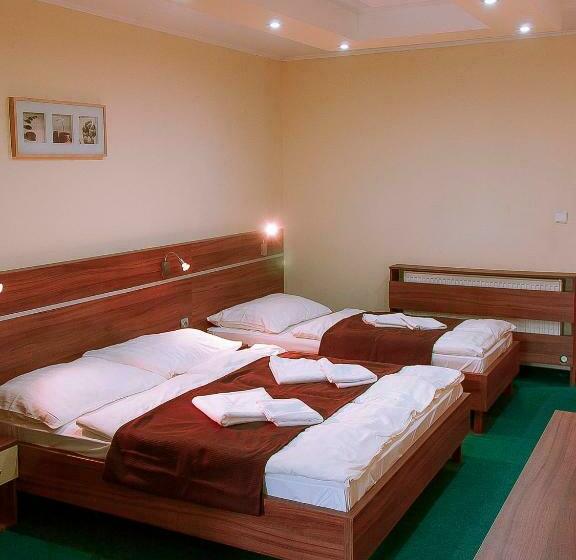 غرفة قياسية ثلاثية, Penzion Fortune