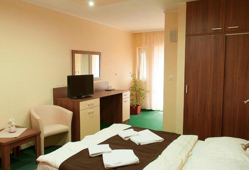 غرفة قياسية, Penzion Fortune