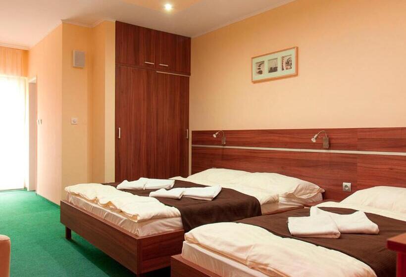 غرفة قياسية, Penzion Fortune