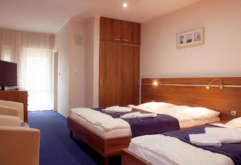 غرفة قياسية, Penzion Fortune