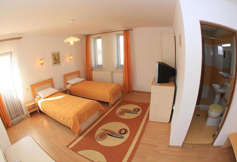 غرفة قياسية, Pensiunea Maria , Floresti