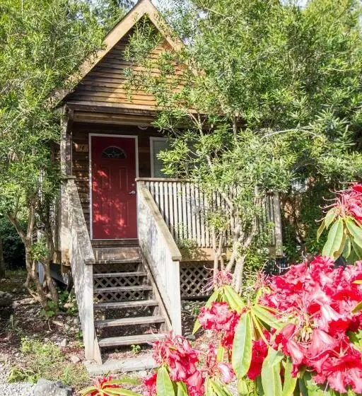 Standard-studio, Reef Point Cottages