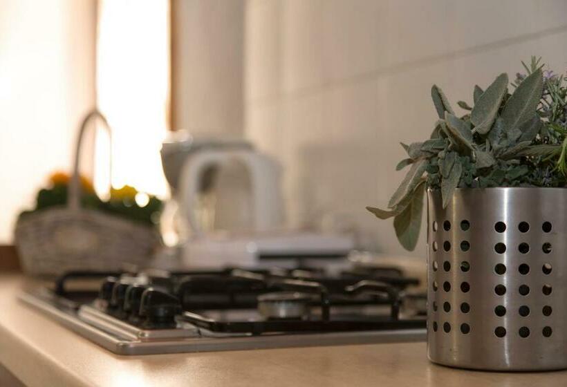 דירת חדר, Borgo Poneta